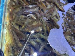 -聚盛源蒸汽海鲜火锅烤肉自助(巨川金海岸购物广场店)