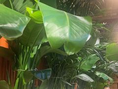 -云阿蛮云南生烫牛肉米线(奉贤路店)