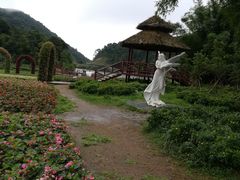 -广州市石门国家森林公园
