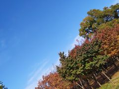 -北山公园
