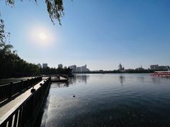 -莲花池公园