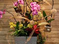 -广州白天鹅宾馆