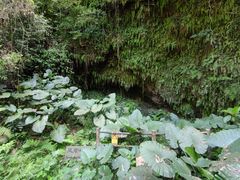 -海口火山口国家地质公园