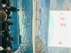 -福州罗源湾海洋世界旅游区