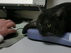 -全心全意连锁动物医院·特色中医诊疗(会城门分院)