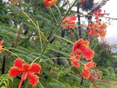 -三亚亚龙湾金棕榈度假酒店