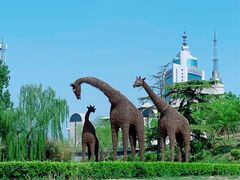 -莲花池公园