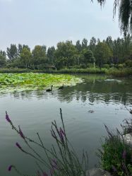-优沃得自然教育农场·冰雪乐园·生日会·研学