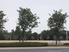 -深圳湾公园(南山区)