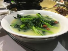 -石岐乳鸽村(南海第三分店)