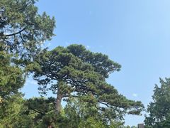-香山公园