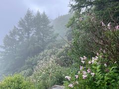 -白草畔自然风景区