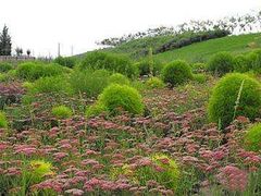 -白沙门生态公园