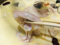 招牌小生养生锅-渔小生蒸汽石锅鱼(印象城店)
