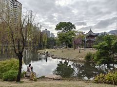 -四海公园(南山区)