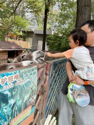 -萌宠亲子动物乐园(槐房万达店)