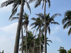 -西秀海滩公园