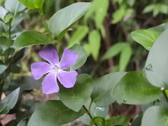 -御轩足道·SPA·养生·保健(瑞金北路店)