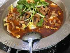 -古乐牛香·鲜牛肉牛杂火锅(高新店)