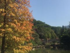 -云溪植物园