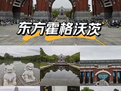 -华东政法大学(松江校区)