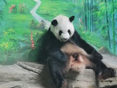 -灵玲国际马戏城