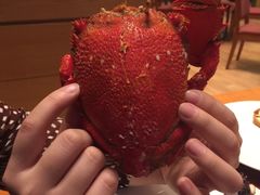 -视界美食自助餐厅·石家庄希尔顿酒店