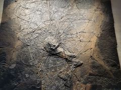 -浙江自然博物院(杭州馆)