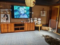 -大江户·温泉洗浴(浑南店)