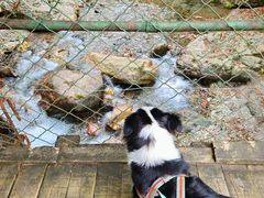 -西岭雪山大飞水景区