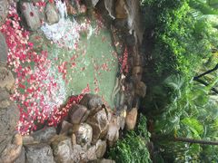 日月谷温泉渡假村-厦门日月谷温泉渡假村