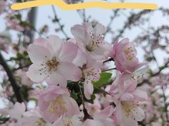 -洋湖国家湿地公园