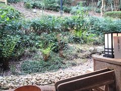 -有马温泉 竹取亭円山温泉旅馆