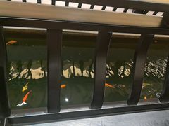 -龙悦湾酒家·八阵鱼生·渔人码头店