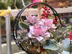 -双季花艺园艺市场(浦东店)