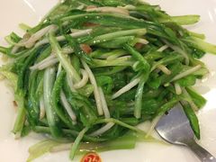 -文东记(马里士他路)