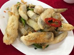 椒盐九肚鱼-蛇口康乐快餐鱼仔档(翠苑小区店)
