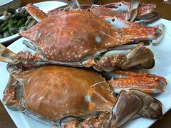 -望海潮海鲜店 特色家常菜(在海一方店)