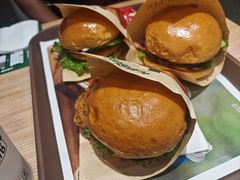 -魏家凉皮(中北店)