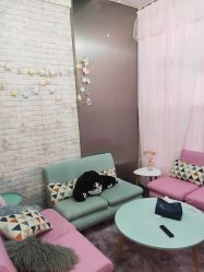 -doladola(徐家汇店)