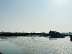 -苏州太湖湖滨国家湿地公园