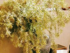 -灸春堂·专业艾灸·连锁品牌(丰潭路店)