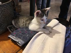 -大理床单厂艺术区