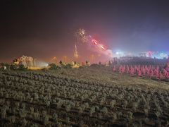 -大塘金香草谷