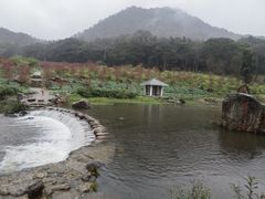 -广州市石门国家森林公园