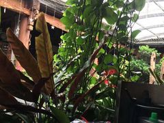 大堂-束河人家(南锣鼓巷店)