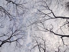 -西湖外事游船(花港观鱼码头)