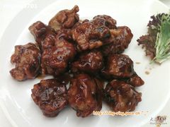 -稻香酒家·33年老字号·港式粤菜(富邦中心店)