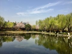 -木塔寺遗址生态公园