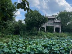 -西溪国家湿地公园